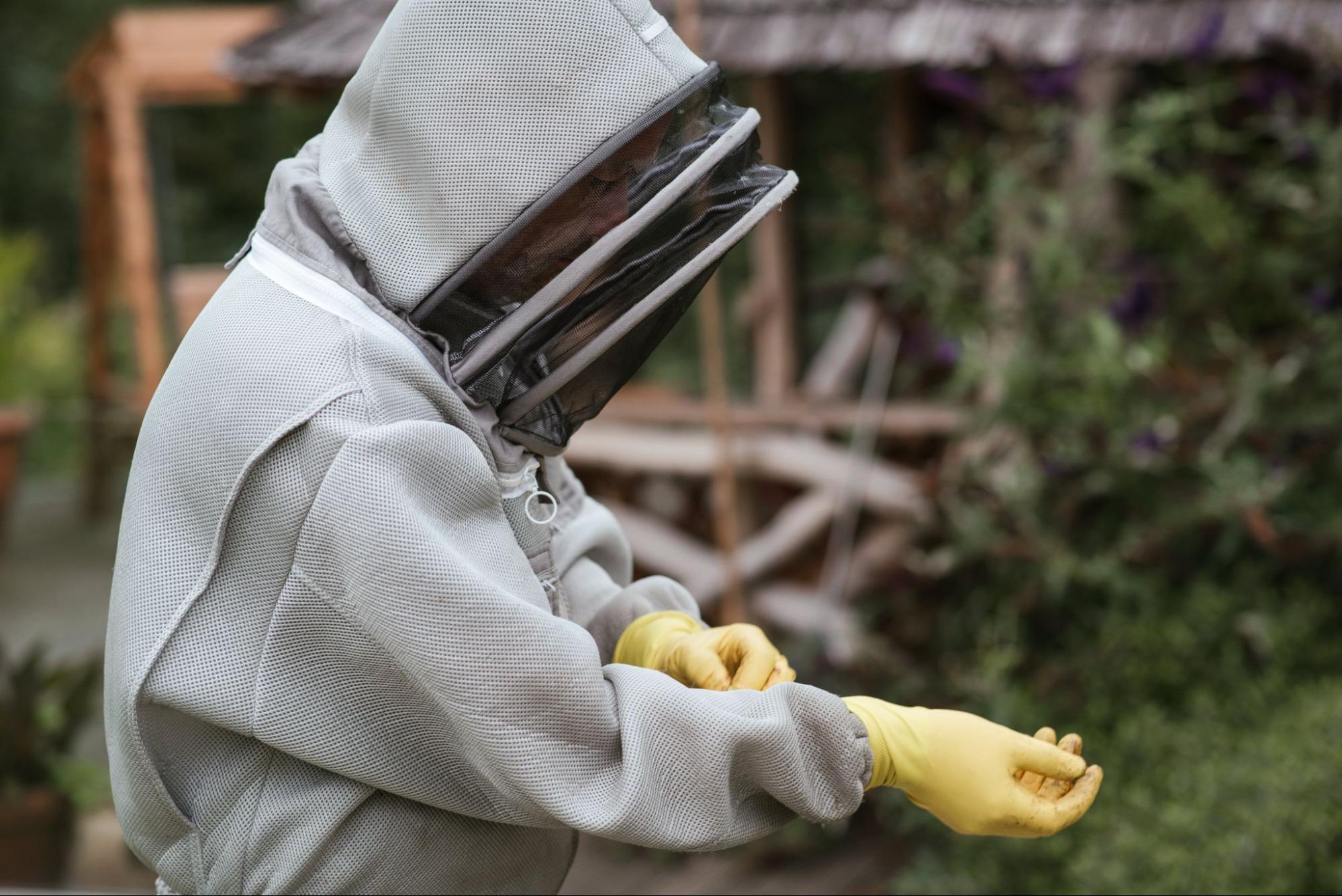 beekeeper in protective suit beekeeper in protective suit