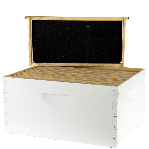 Assembled 9 5/8" Deep Hive Kit with Plastic Coated Foundation and Assembled Frames,Z194, Mann Lake Ltd.