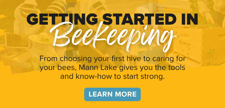 Banner showing a beehive and a closeup bee, portaying beginner essentials for beekeeping