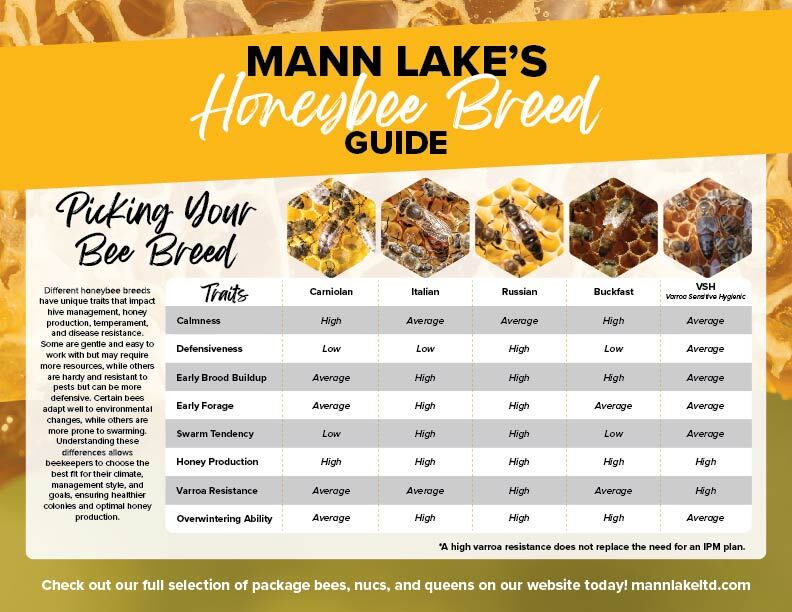 Compare Honeybee breeds sold by Mann Lake to find the bee  breed that's right for you. 