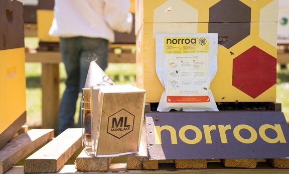 Norroa, the ultimate varroa mite solution