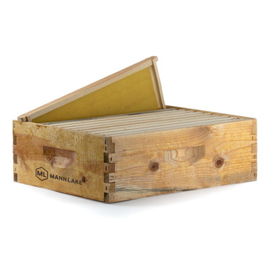 Assembled 6 5/8 Wax Dipped 10 Frame Honey Super Kit with Yellow Max Wax Frames,WP210, Mann Lake Ltd.