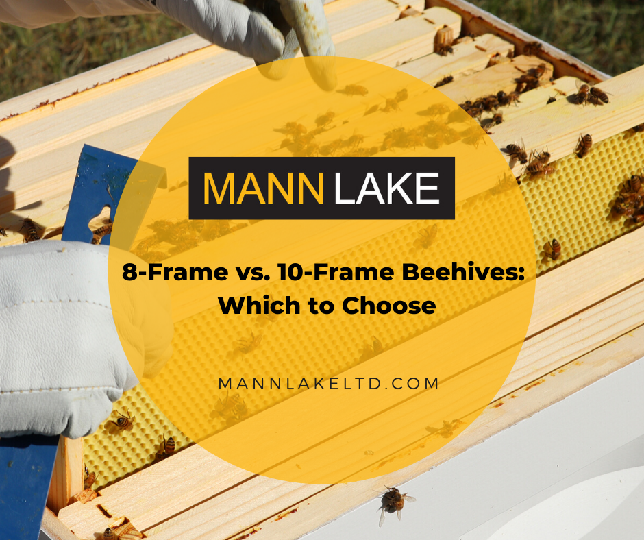 8-Frame vs. 10-Frame Beehives, Mann lake 8-Frame vs. 10-Frame Beehives, Mann lake