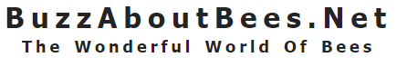 buzzaboutbees.png buzzaboutbees.png